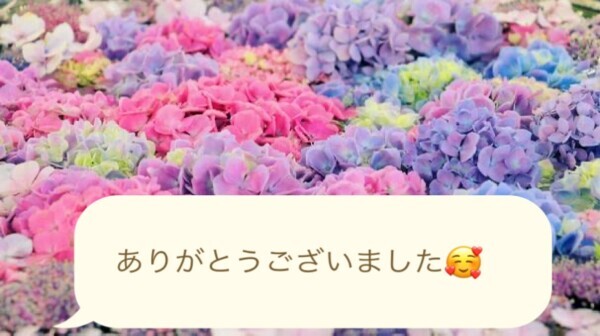 あみです