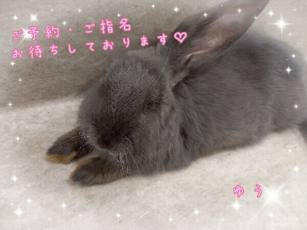出勤しました～(*￣∇￣)ノ