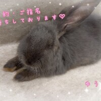 ゆう