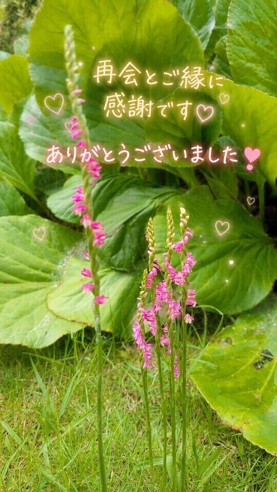 嬉しかったよ‪🕊美月えま→あきに逢いに‪𓂃ෆ‪