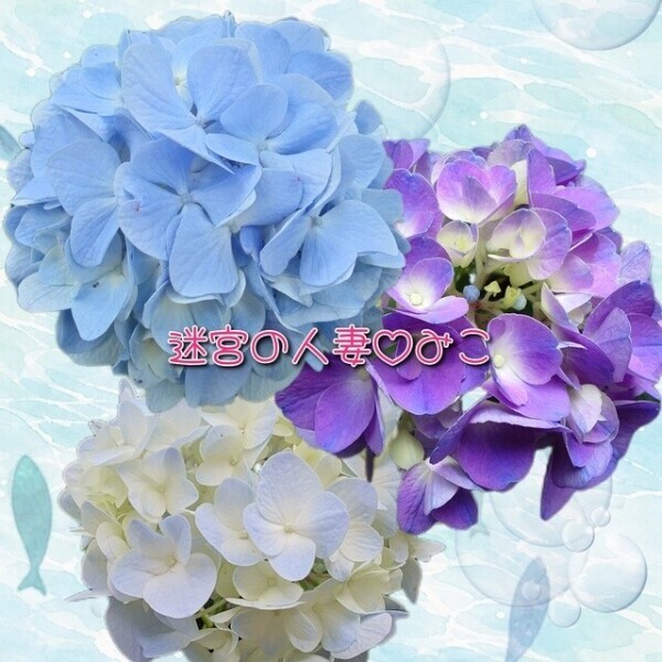 出勤してまーす