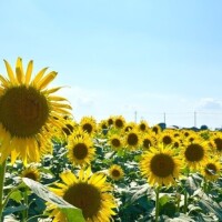 あき