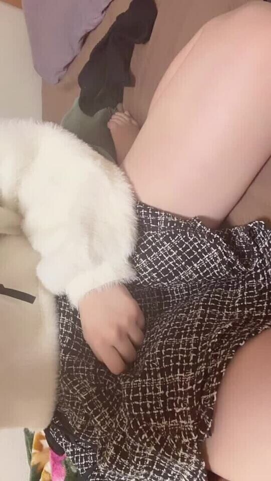 しゅ！