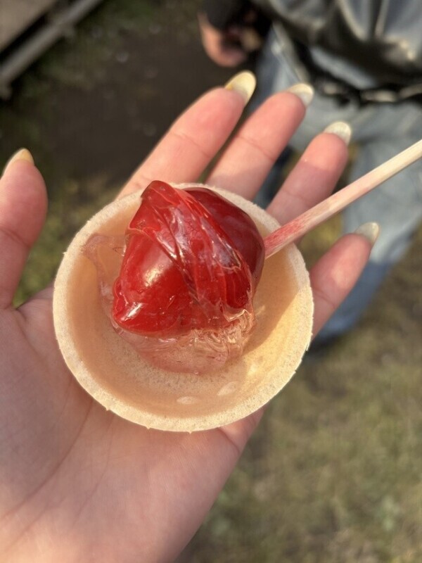 今週💓