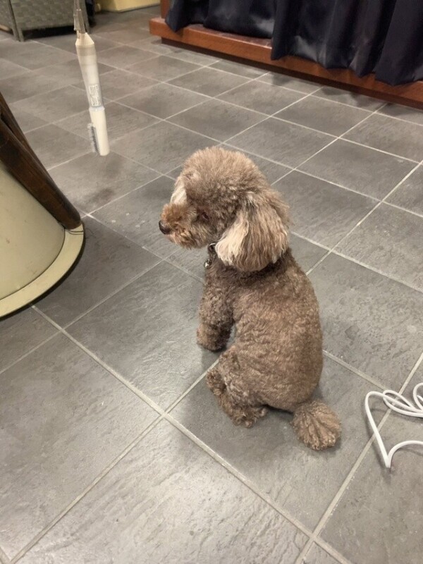 古河出勤してるよお🥺