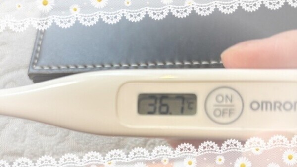 おはようございます☀️