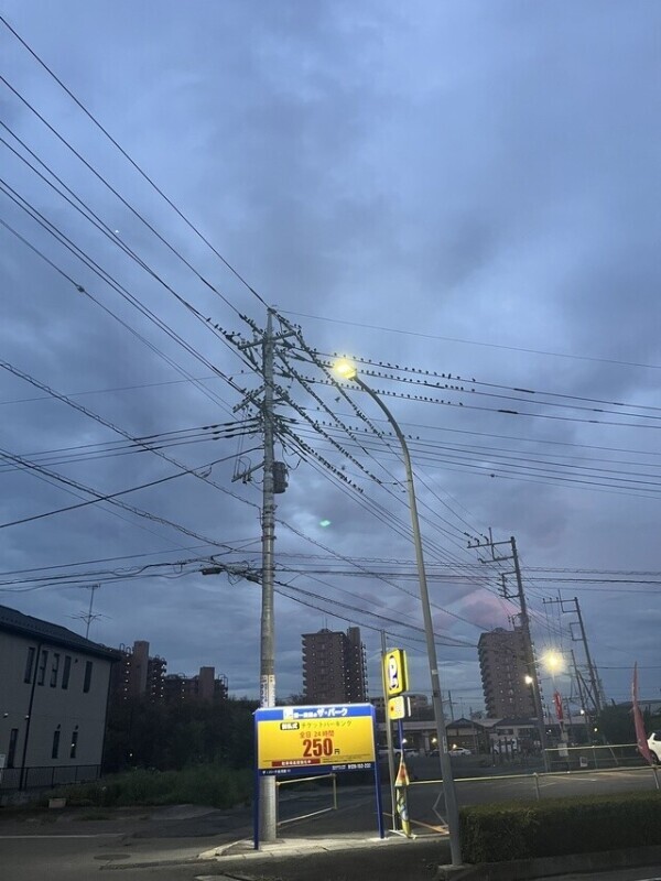 ヒスってる方へ