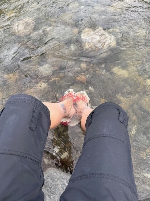 ぴのだよ💗次回出勤は今日です💗