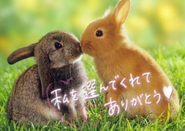 コットンクラブ101のお兄さんへ💌