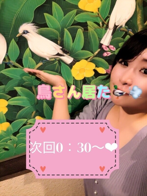 次回0:30〜♡ロングコースも歓迎です🫶