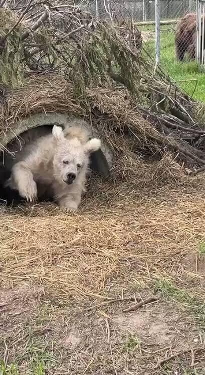 🥹今帰っきたよ🥹