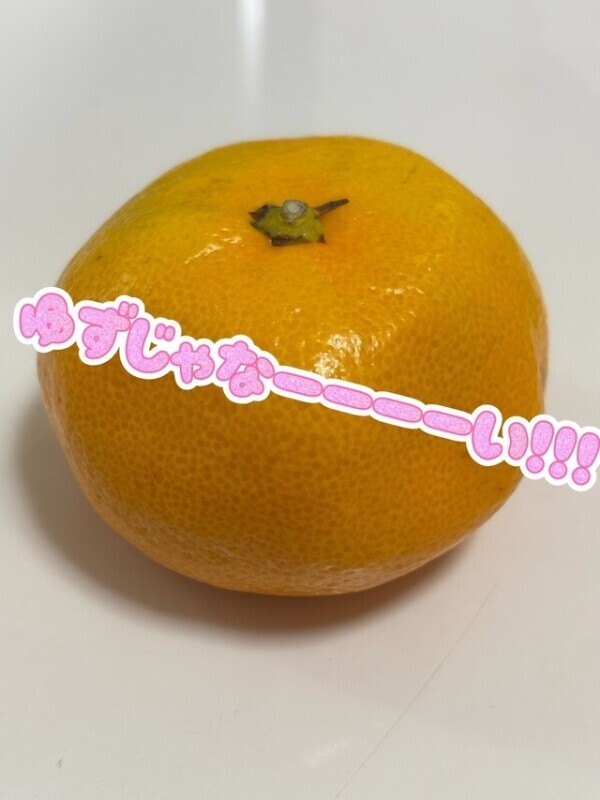 ゆずじゃなーーーーい！！！