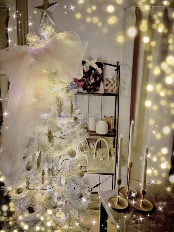 ツリー飾った🥰