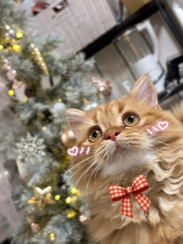 今お風呂出た🛁✨昨日のラスト枠