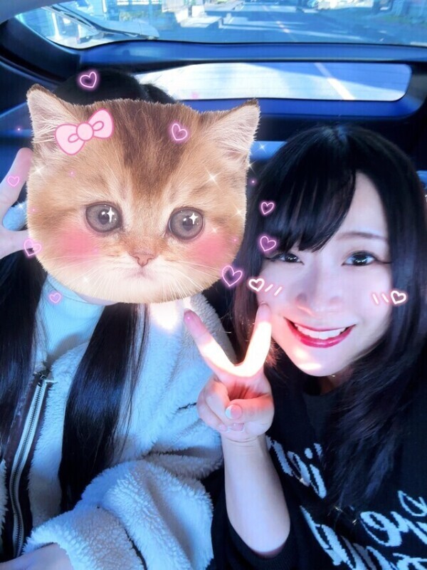 はじまるよ〜🐈‍⬛❤️🐈