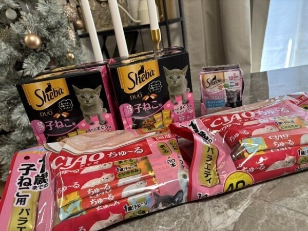 君達（猫）ただいま〜♡美味しいご飯たべようね〜♡