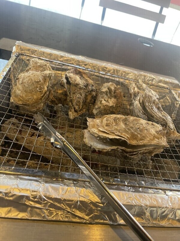 お久しぶりです🫶