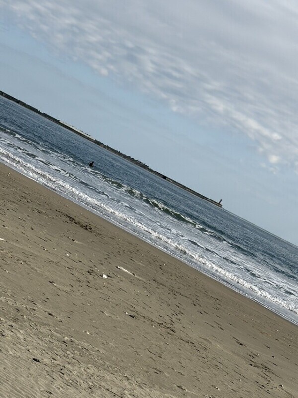 ご飯のあとは…