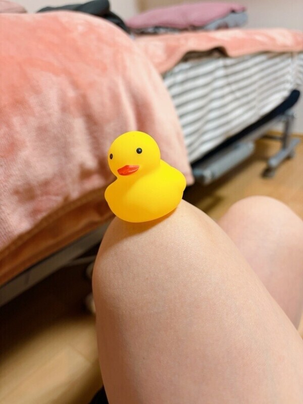 ぴよぴよ🐥