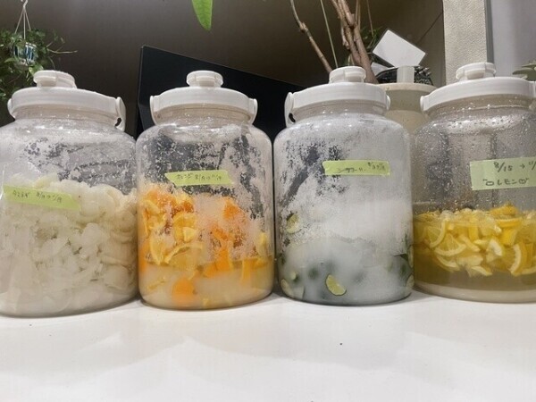 謝罪( ⋰꒳​⋱ )