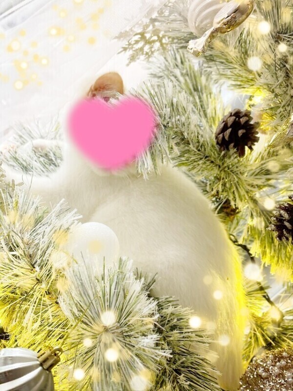 えっちすぎる、、、