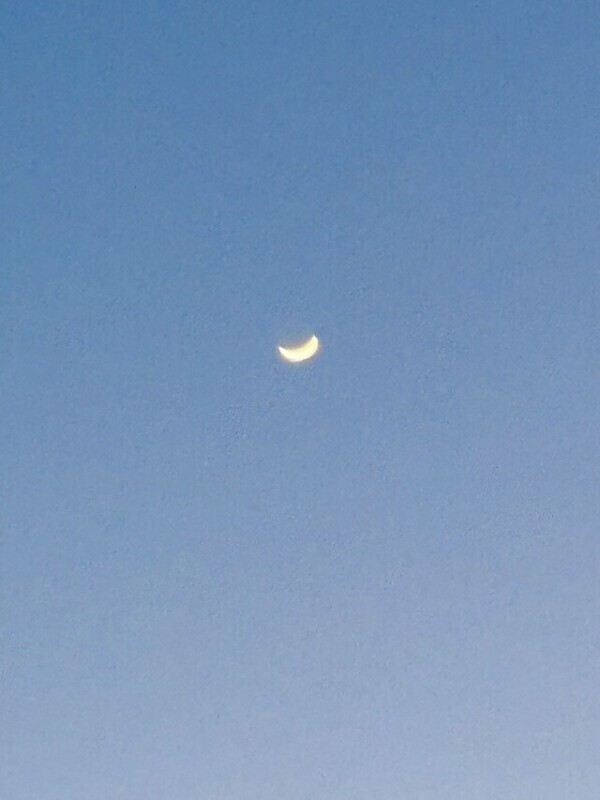 仲良しさん🕊️