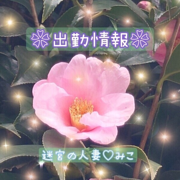 明日以降の出勤