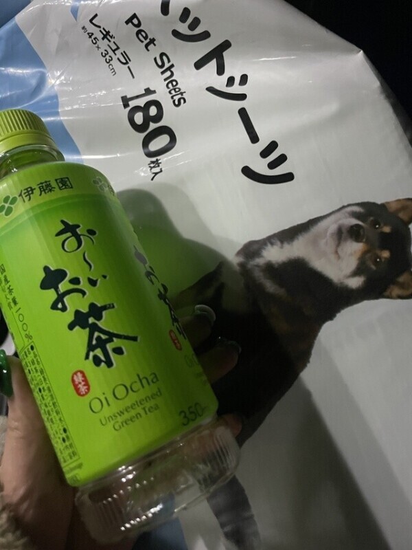 お礼日記 自宅 T様