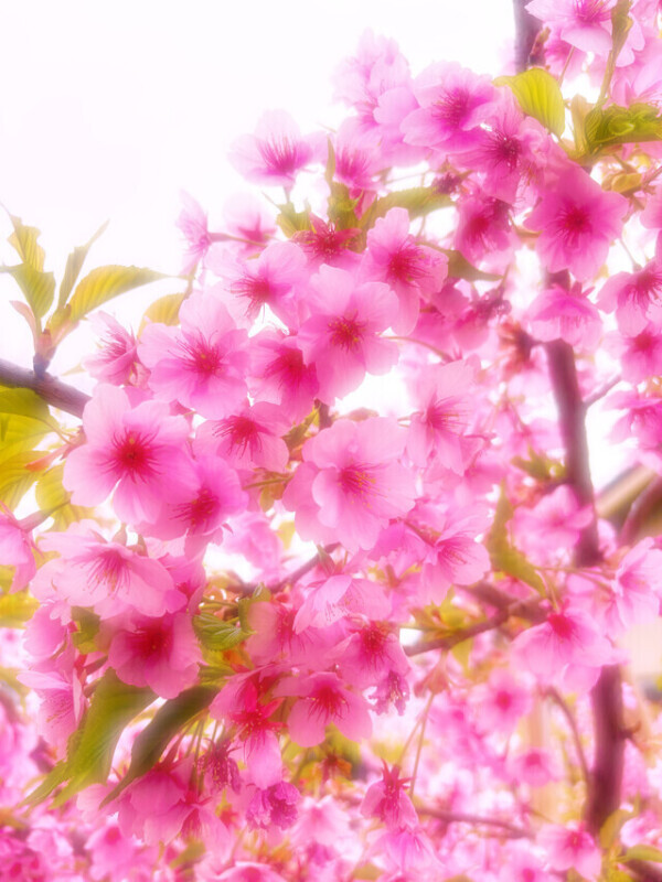 お待ちしてます❣️