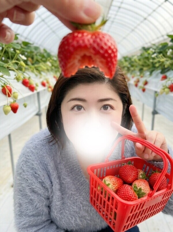 早い者勝ち❣️