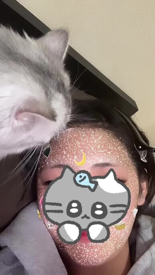 おはようございまんちゅ🌟