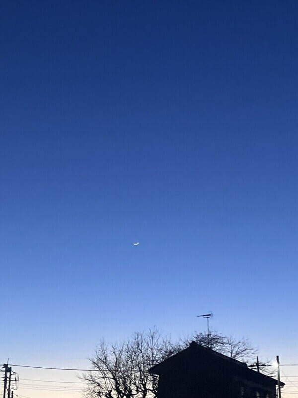 明日出勤します😌