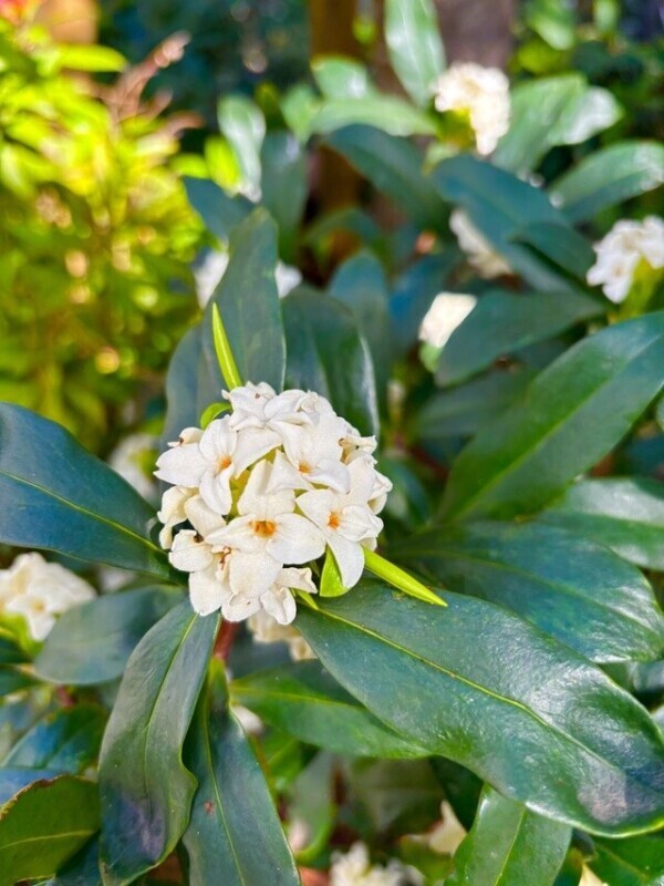 お待ちしてます🩷