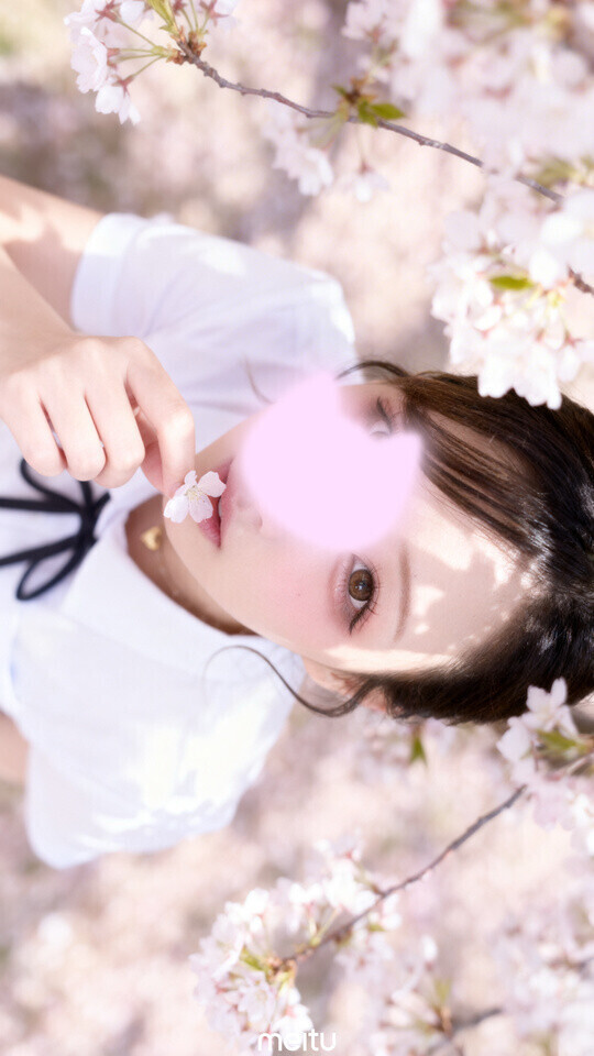 お花見はする？？