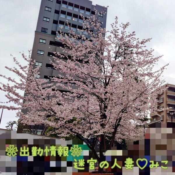 今日も出勤中