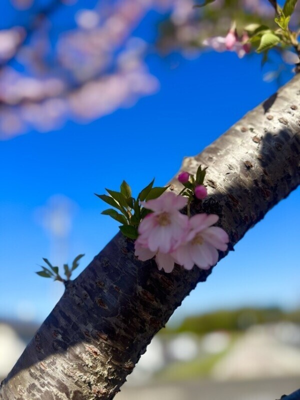 お待ちしてます💕