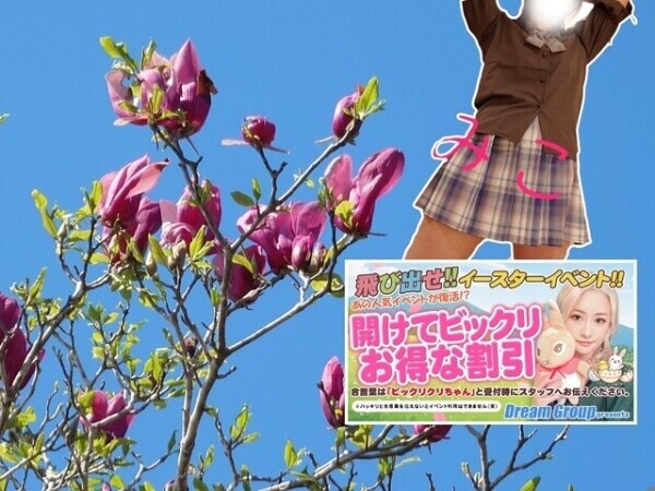 4月のイベント