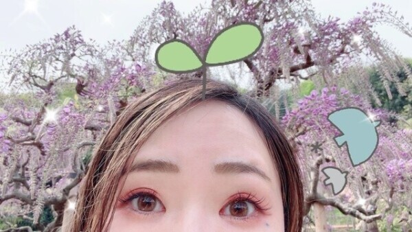 今週終わってしまうやんねぇえええ