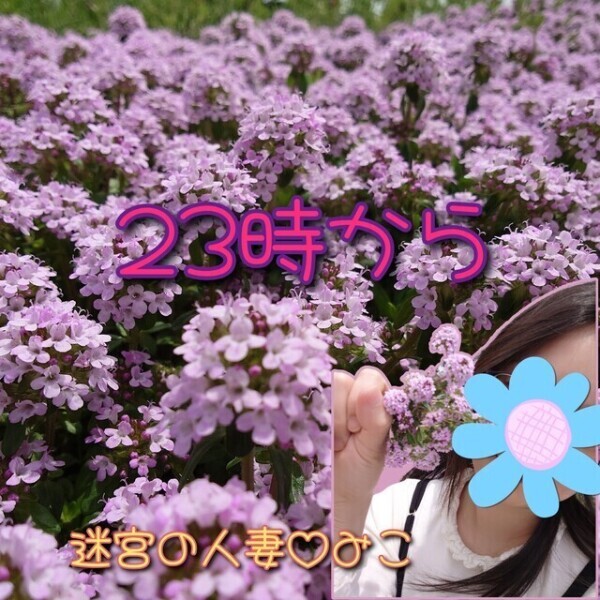 今夜あいましょ