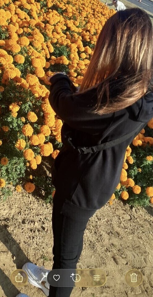 しゅっ🪄︎︎✨