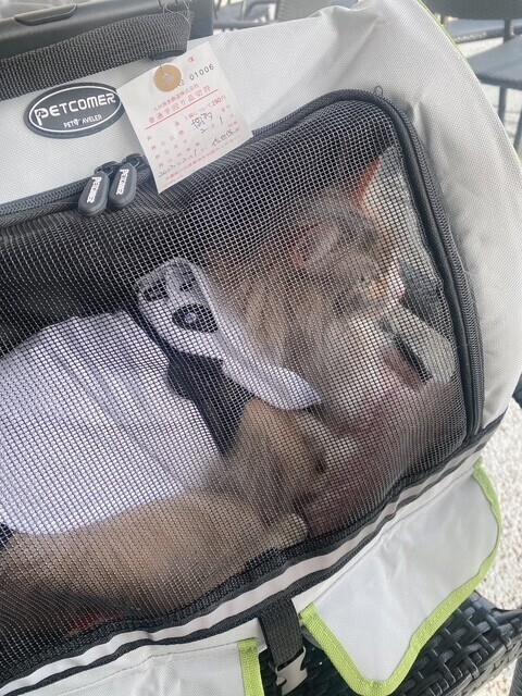 image9.jpeg
