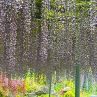 あき