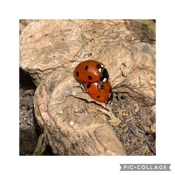 お待ちしてます♥️