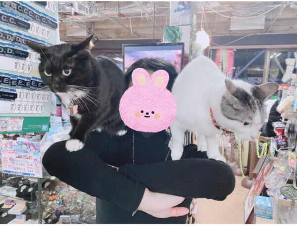 猫とアダルトグッズ使い…次回出勤決定💓‪