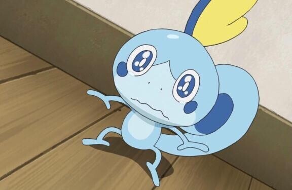 (? .  ? .?)