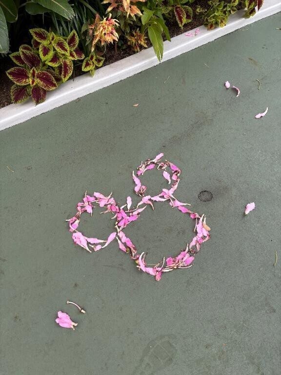 日程変更です????♀???