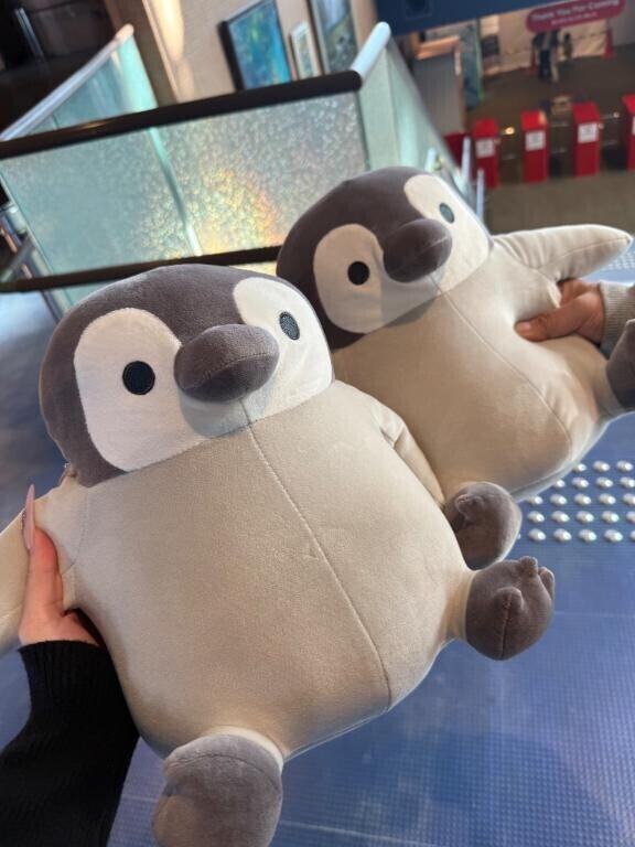 貸切さんきゅっ??