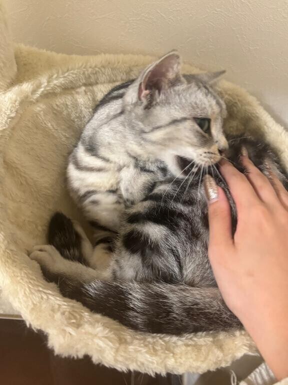 1枠目のお兄さま??