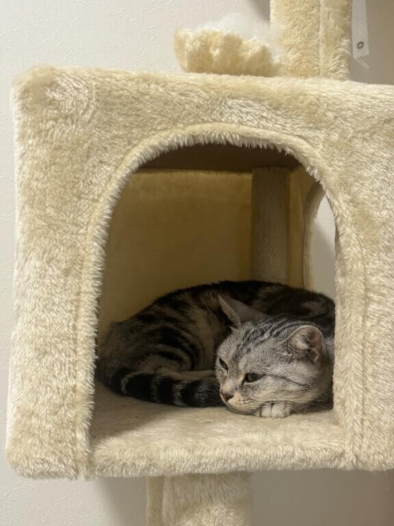 11:30頃~のお兄さま??