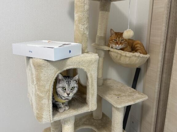 おはよう?